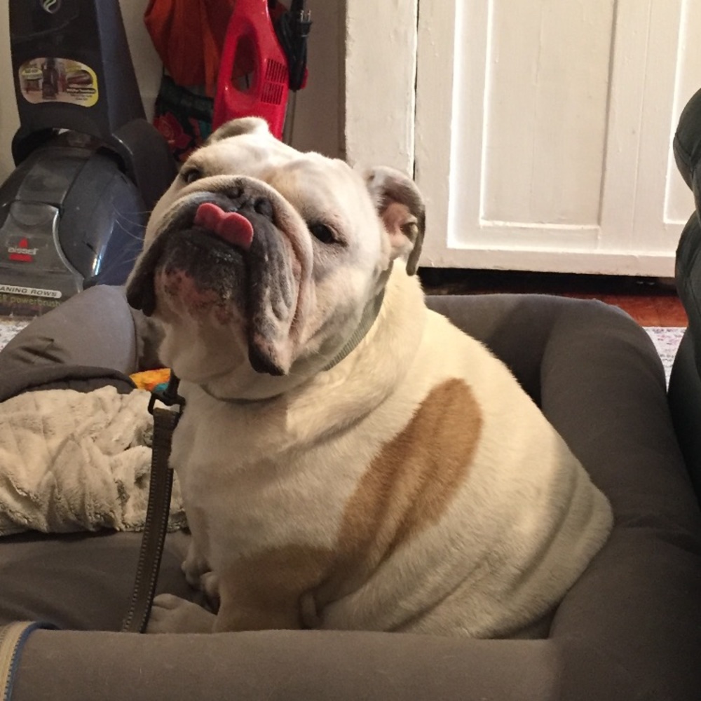 Meet your Posher, Julie